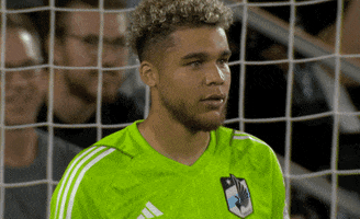 Try Me Come On GIF by Major League Soccer