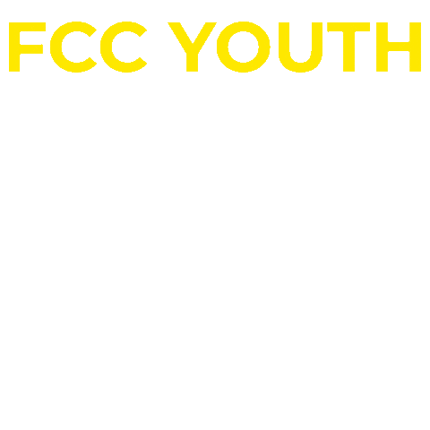 Youth Believe Sticker by Family Christian Centre