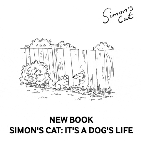 GIF by Simon's Cat