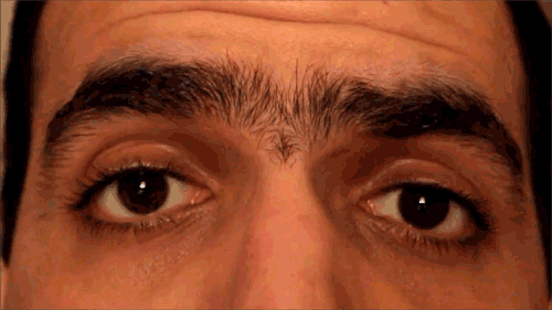 Eyebrows Unibrow GIF - Find & Share on GIPHY