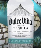 GIF by Dulce Vida Tequila