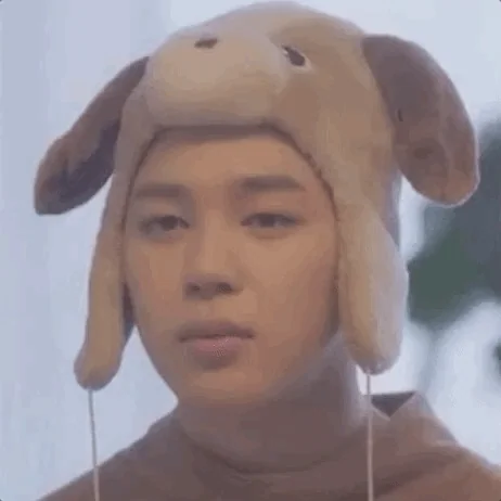 Dog Wink GIF by BTS