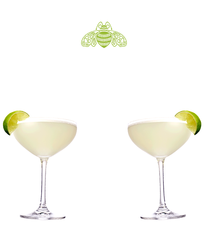 Cocktails Margarita Sticker by Patrón Tequila for iOS & Android GIPHY