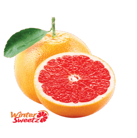 Grapefruit Sticker by Winter Sweetz