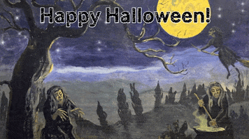Near North Montessori School GIF