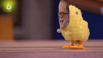 Vi Kuiken GIF by Vandaag Inside