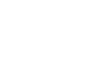 White Bird Owl Sticker by Stedi UK