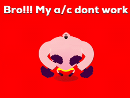 Bro GIF