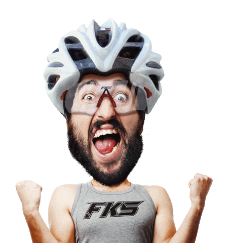 Top Ride Sticker by FKS Bike