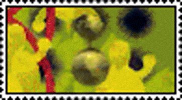 Dream Lsd GIF
