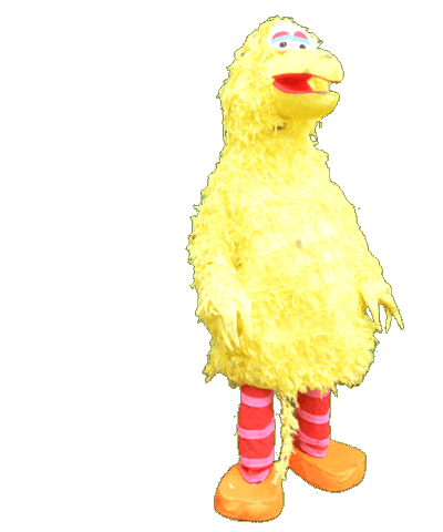 Bird Sticker by Kachel FM