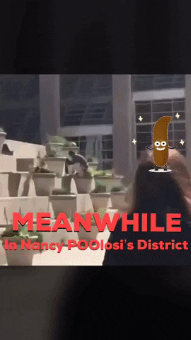 San Francisco GIF