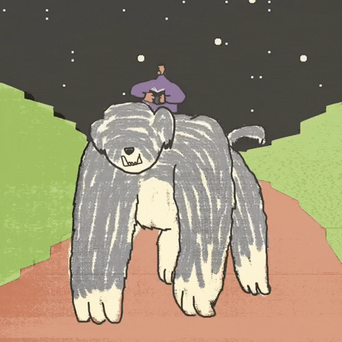 Marcelo Perdido GIF