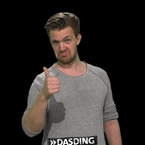 Well Done Reaction GIF by DASDING