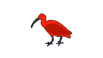 Bird Guaratuba Sticker by Guará Mapping Festival