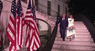 Donald Trump GIF