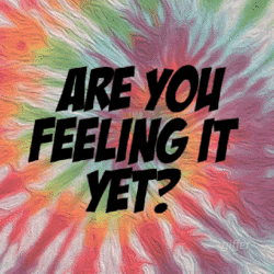 Drugs Are You Feeling It Yet GIF - Find & Share on GIPHY