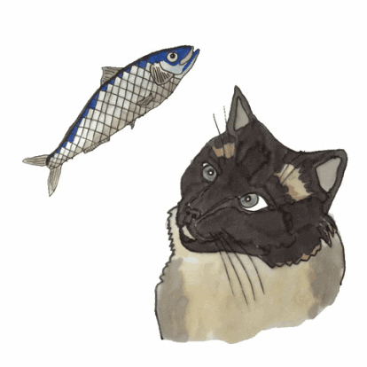 Cat Fish Art GIF by katdrawsit