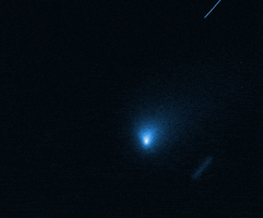 Space Comet GIF by NASA