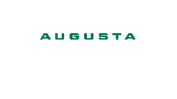 Baseball Augusta Sticker by GreenJackets