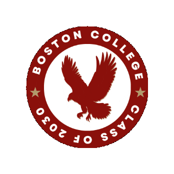 Eagles Sticker by BostonCollege