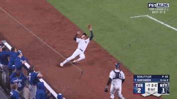 New York Yankees Sport GIF by MLB