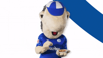 Happy German Soccer GIF by FC Schalke 04