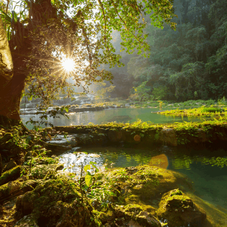 Cliff Long Orlando GIF