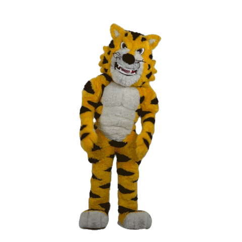 Colegio Salesiano Santa Cecilia Sticker