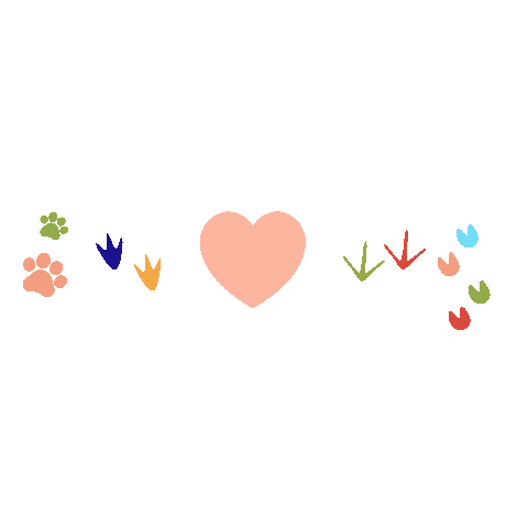 Animated Sticker