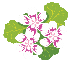 Royal Botanic Gardens Victoria Sticker by Erstwilder