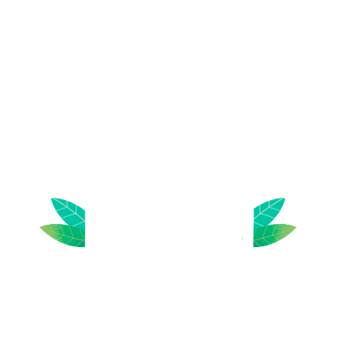 Illustration Upload Sticker