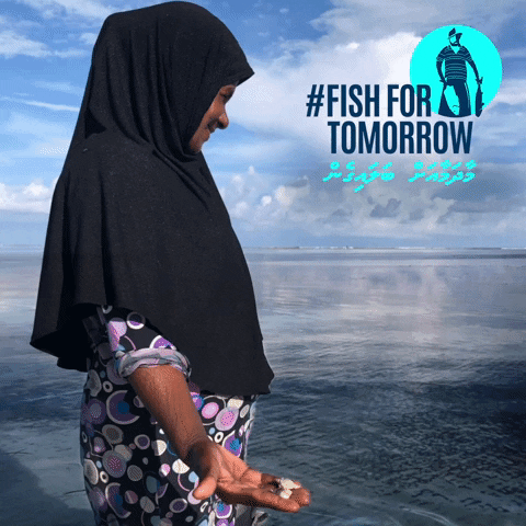 Fish For Tomorrow GIF by Blue Marine Foundation