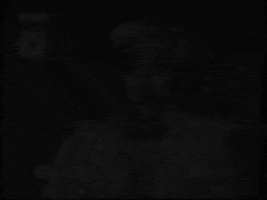Nederland GIF