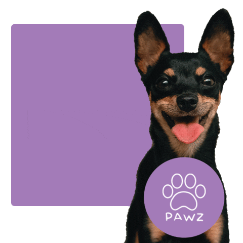Dog Sticker by Pawz