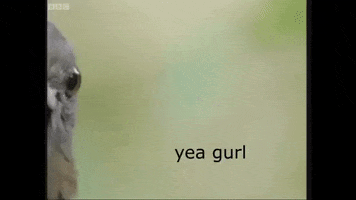Lemme Smash GIF