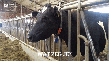 BeterRuwvoer GIF