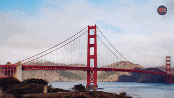 San Francisco California GIF by No pot ser! TV3