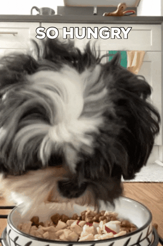 Atlantic Pictures GIF