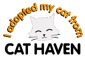 Cats Sticker by Cat Haven WA