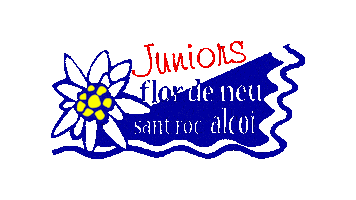 Juniors Flor de Neu Sticker