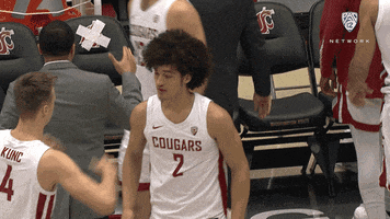 Wsu Cougars Hair GIF by Pac-12 Network