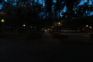 Early Morning Walk GIF by University of Florida