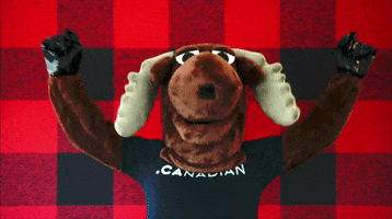 200.gif?cid=fc005b08c9f5a7a1d6232d7a744dce96f4039480df4c2c50&rid=200.gif&ct=g