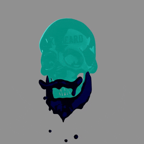 Simulation GIF