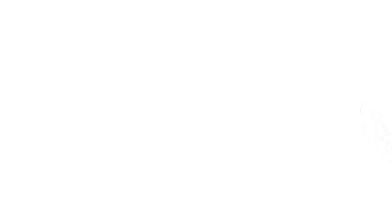 Brandolt Institute Sticker