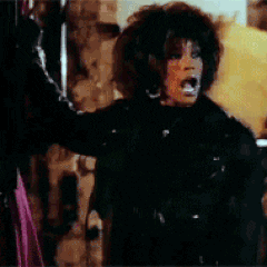 GIF by Paul