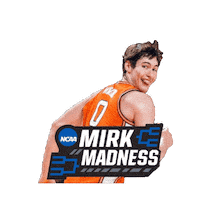 Fighting Illini Illinois Sticker