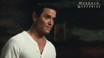 I Dont Know Yannick Bisson GIF by Murdoch Mysteries