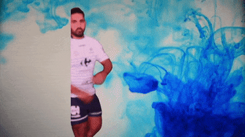 Asfleurance Rugby GIF